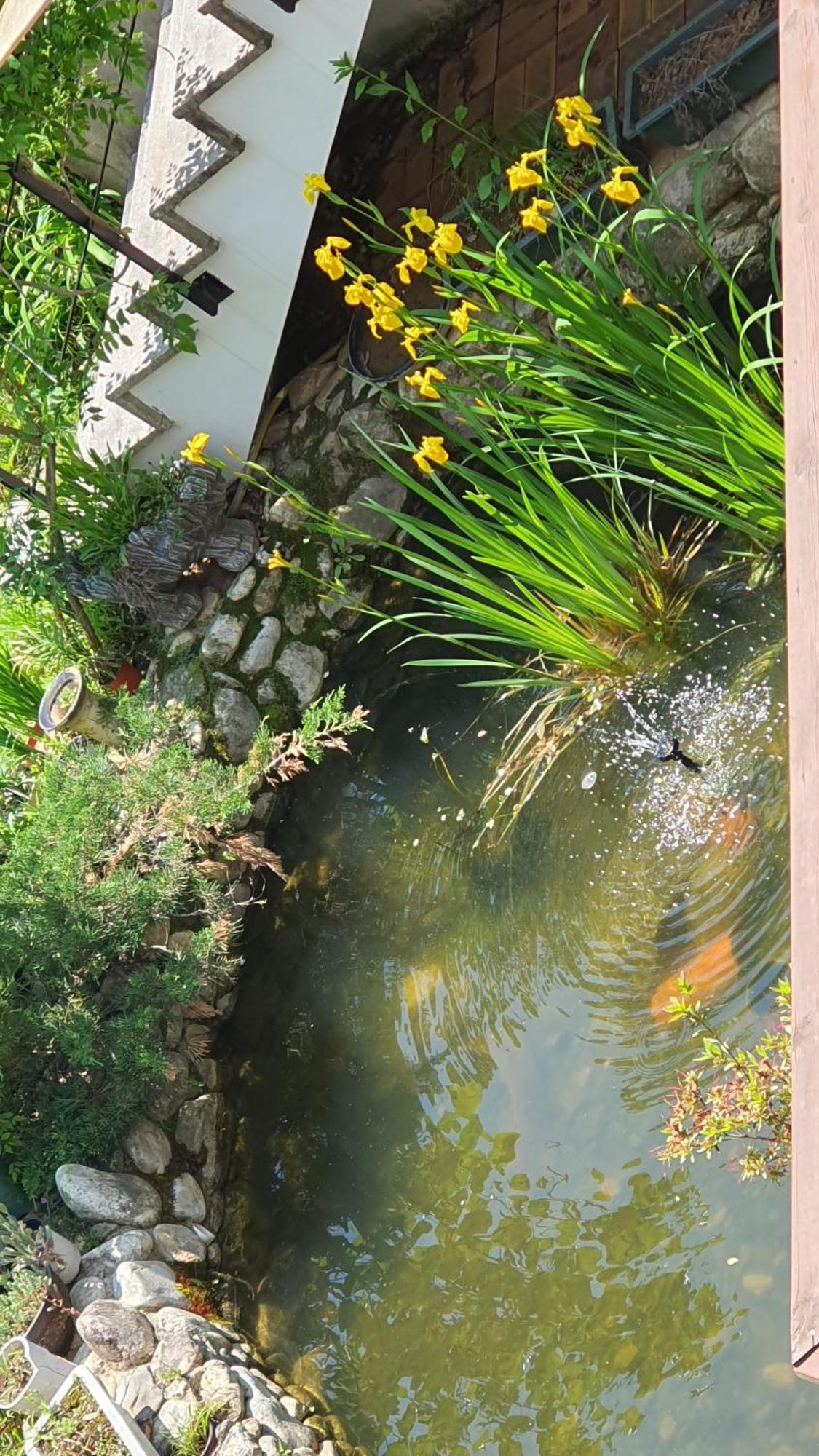 فيلا Saint Paul De Vence داميانغ الغرفة الصورة