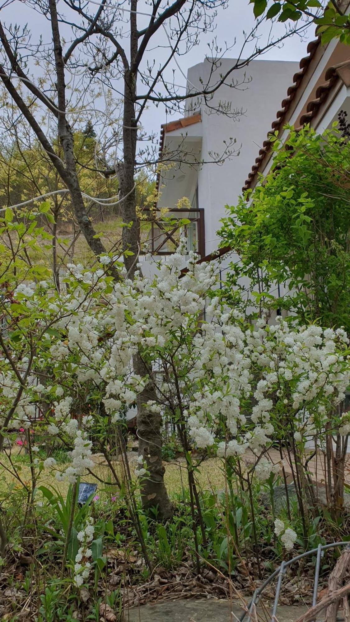 فيلا Saint Paul De Vence داميانغ الغرفة الصورة