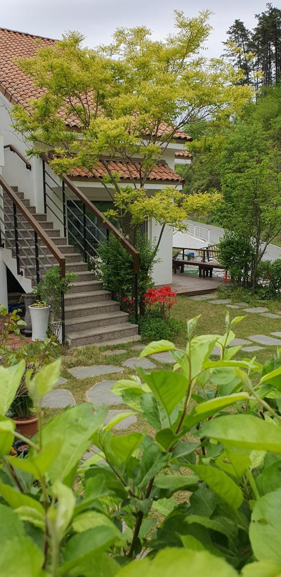 فيلا Saint Paul De Vence داميانغ الغرفة الصورة